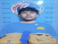 Sat Narkoba Polres Madina Berhasil Mengamankan seorang Pria Pengedar Ganja