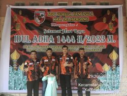 Di Momen Hari Raya Idul Adha 1444 H   Ketua MPC Kabupaten Deliserdang Bung Junaidi Melakukan Pemotongan Qurban Sebanyak 3 Ekor Sapi