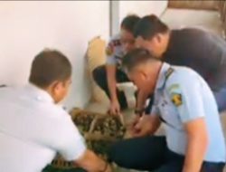 Rutan Kelas l Medan Kemenkumham Sumut Tabur Bibit Bebek Di Pelatihan Keterampilan Peternakan