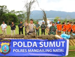 Perburuan 150 Ha Ladang Ganja oleh Polda Sumut Gunakan Teknologi Citra Satelit