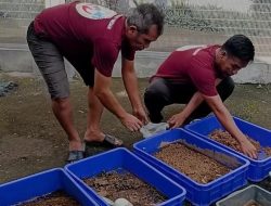 Warga Binaan Rutan kelas I tanjubg gusta Medan budidayakan Maggot