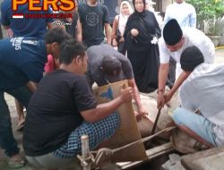 Rahudman Harahap dan Keluarga Berkurban 2 Lembu dan 2 Kambing di Hari Raya Idul Adha 1445H
