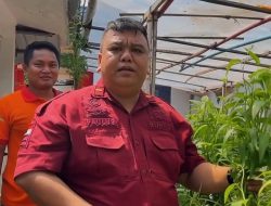 Warga Binaan Rutan Kelas I Medan Panen Sayuran Hidroponik, Mewujudkan Kemandirian dan Kualitas Pribadi