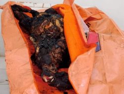 Tragedi Kebakaran di Karo: Wartawan dan Keluarga Meninggal, Istri Sedang Hamil