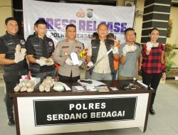Sat Res Narkoba Polres Serdang Bedagai Pada Pengungkapan Tiga Kasus Narkotika