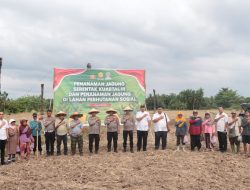 Polres Binjai Bersama Masyarakat Payaroba Melaksanakan Penanaman Jagung