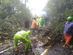 Taput Dikepung Bencana! 27 Titik Banjir dan Longsor Hantam Wilayah, Polres Taput Siaga Penuh