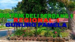 Pekerja Menjerit! Gaji Tak Kunjung Cair, PTPN IV Gunung Pamela Dituding Abaikan Hak