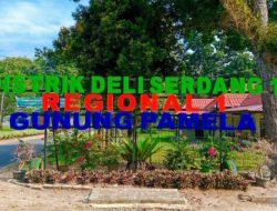 Pekerja Menjerit! Gaji Tak Kunjung Cair, PTPN IV Gunung Pamela Dituding Abaikan Hak