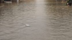 Hujan Deras Sejak Dini Hari, Kelurahan Mangga Tergenang Banjir Pagi Ini