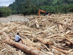 Akhirnya Buka Suara, Bupati Tapsel Ungkap Kemenhut Sudah Buka Kembali Izin Penebangan Hutan Sejak Oktober