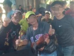 Aparat Seolah Tutup Mata, Bisnis Haram Judi Sabung Ayam di Pasar 2 Sei Mencirim Makin Menggila