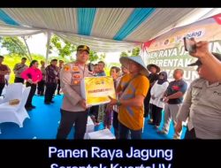 Panen Raya Jagung Serentak, Kapolsek Medan Tuntungan Iptu Syawal Sitepu S.H.,Dukung Swasembada Pangan Nasional