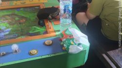 Diduga Polsek Sibiru Biru Menerima Upeti Bos Mafia A Saragih ,Judi Tembak Ikan di Sibiru-biru Resahkan Warga