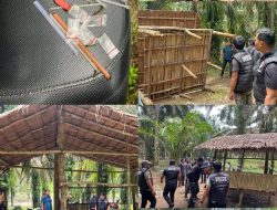 Polres Binjai Kembali Grebek Dan Musnahkan Barak Narkoba Di Kecamatan Selesai