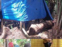 Pria Residivis Kembali Diciduk Satresnarkoba Polres Binjai