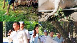 Hari Raya Idul Adha 1447 H, Polres Binjai Sembelih 7 Ekor Sapi dan 3 Ekor Kambing
