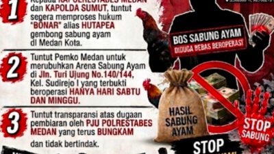 Aktivitas Sabung Ayam di Jalan Turi Ujung Resahkan Warga, Aparat Diminta Bertindak
