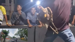 Arena Sabung Ayam Ilegal Beroperasi di Pangkalan Masyhur, Polsek Deli Tua Ditantang Bertindak Tegas