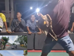 Arena Sabung Ayam Ilegal Beroperasi di Pangkalan Masyhur, Polsek Deli Tua Ditantang Bertindak Tegas