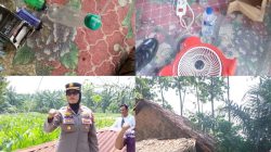 Polsek Binjai Gandeng TNI dan Kepala Desa Grebek Sarang Narkoba