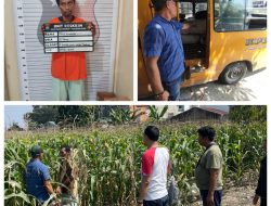 Polsek Medan Tuntungan Amankan Terduga Pencurian Jagung, 8 Karung Barang Bukti Disita