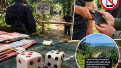 Perjudian Dadu Besar-Kecil di Bahorok, Akses Lokasi Disebut Dijaga dan Pengunjung Dilarang Bawa HP
