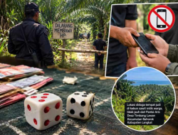 Perjudian Dadu Besar-Kecil di Bahorok, Akses Lokasi Disebut Dijaga dan Pengunjung Dilarang Bawa HP